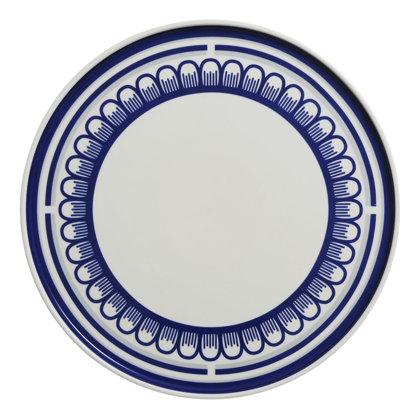 The Blue Scallop